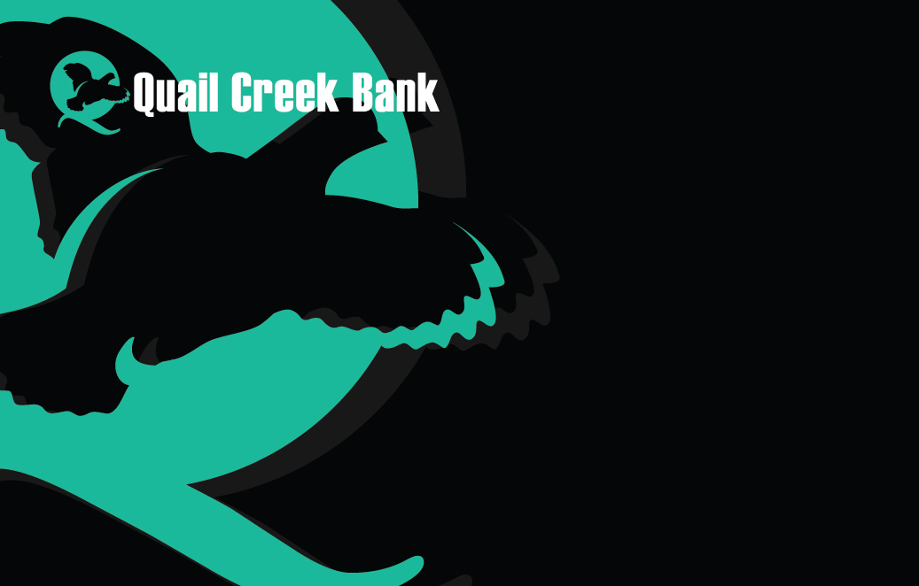 2024 Debit Card Design - teal Q on black