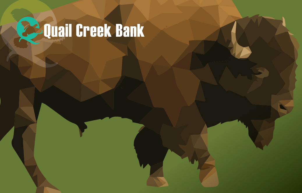 2024 Debit Card Design - buffalo