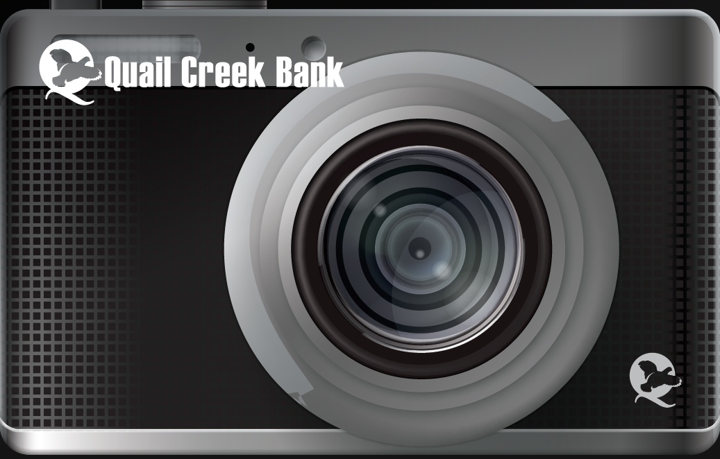 2024 Debit Card Design - camera