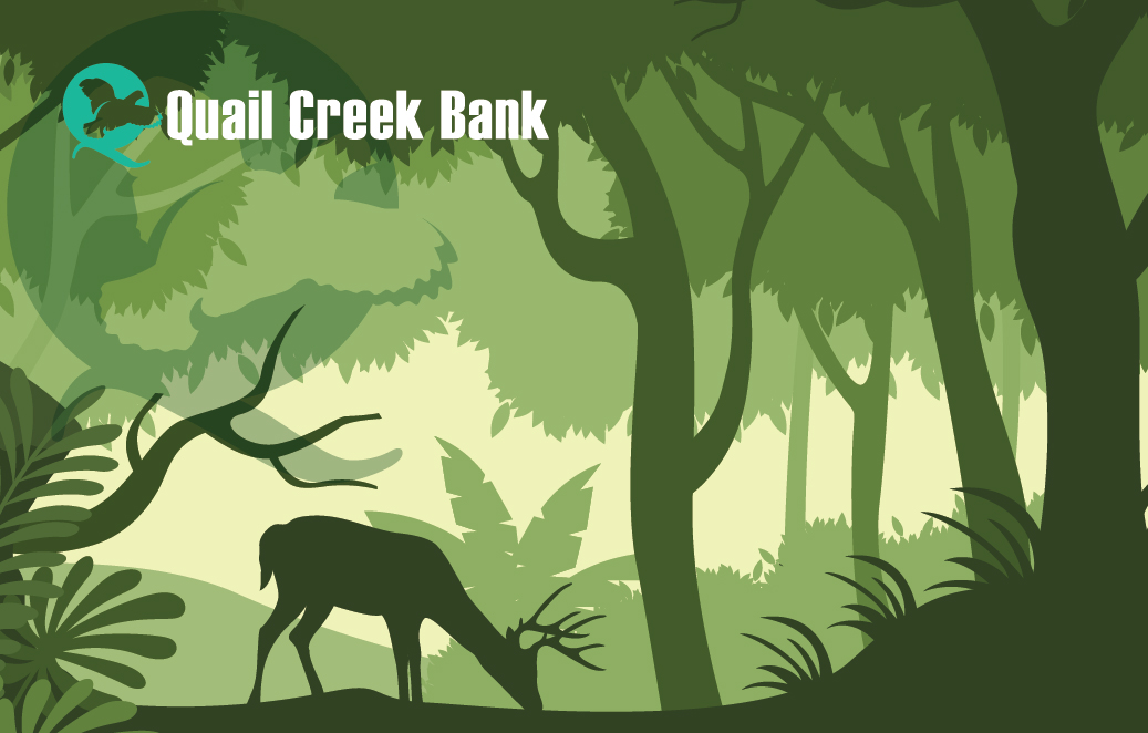 2024 Debit Card Design - cartoon deer in forest