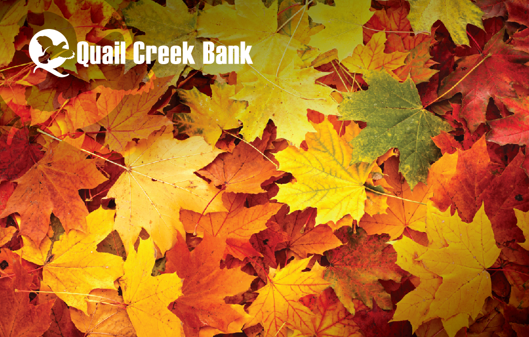 2024 Debit Card Design - fall leaves