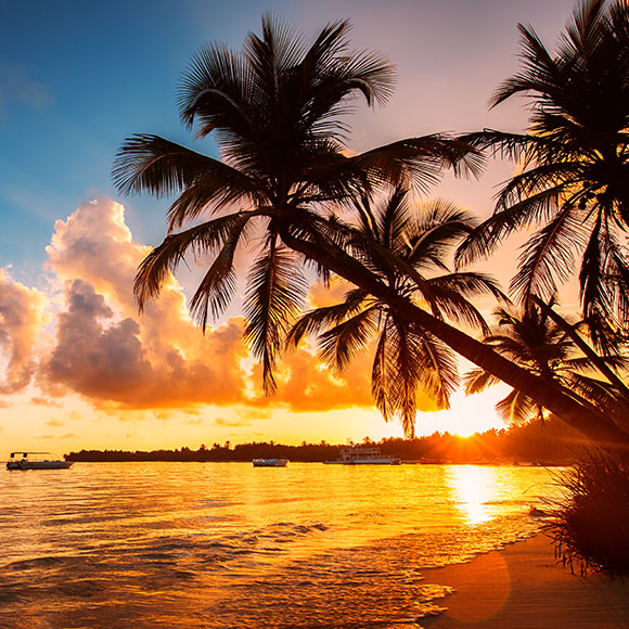 Hawaiian Sunset